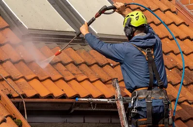 Démoussage et hydrofuge de toiture à Blacé